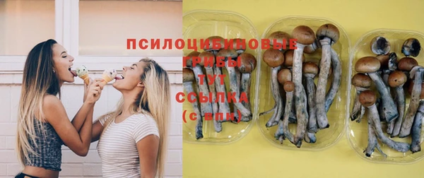 трава Ладушкин